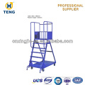 Ladder cart, movable ladder